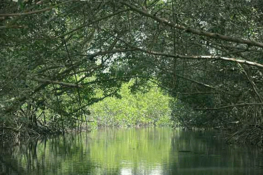 casamance 4 casamance 4